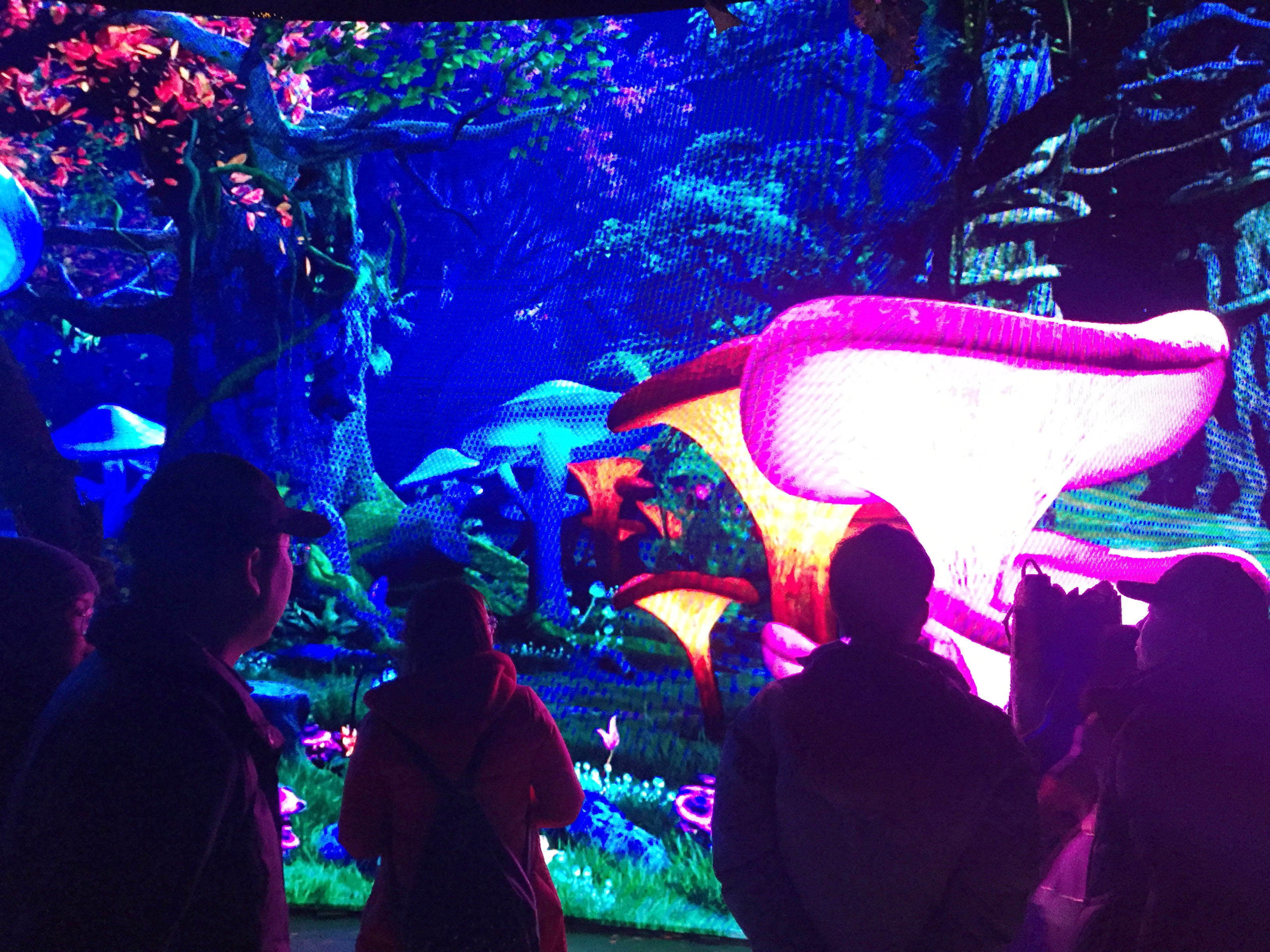 華奧傳媒 精心打造的沉浸式新媒體藝術(shù)劇《綠野仙蹤》內(nèi)部體驗順利結(jié)束！